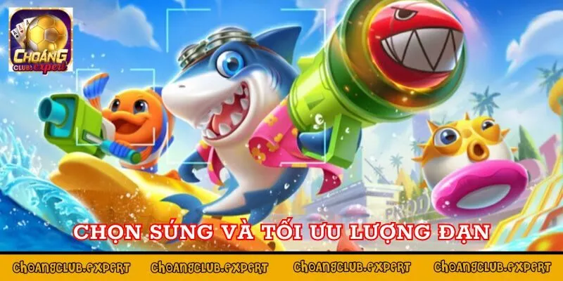 Chọn súng và tối ưu hóa lượng đạn