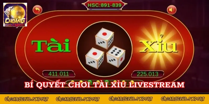 Bí quyết chơi tài xỉu livestream tại Choáng Club