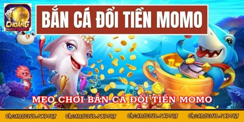 Mẹo chơi Bắn cá đổi tiền MoMo dành cho cược thủ